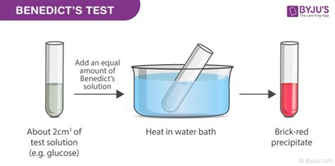 benedict's test for monosaccharides.